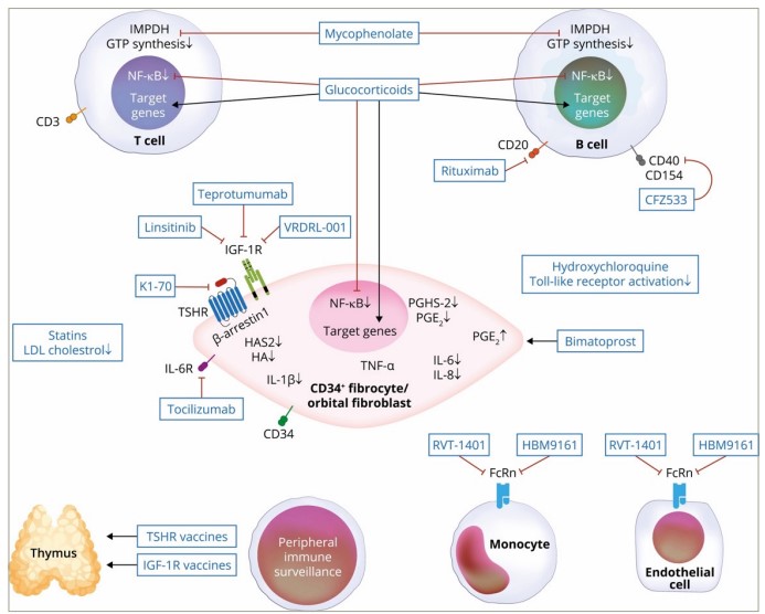 Figure 2: Molecular targets for current and emerging medical therapies88